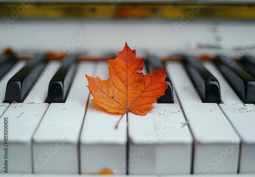 Autumn Leaf Resting on Piano Keys