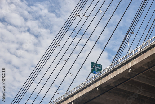 a cable stayed bridge with birds flying in a cloudy sky photo