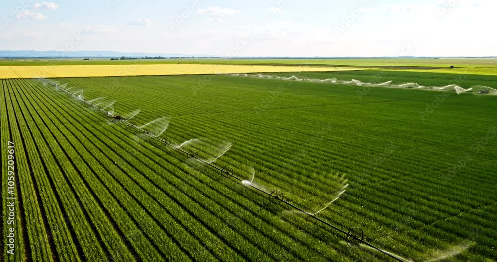 Drone aerial shot of an agricultural irrigation system Drone aerial shot of an agricultural irrigation system