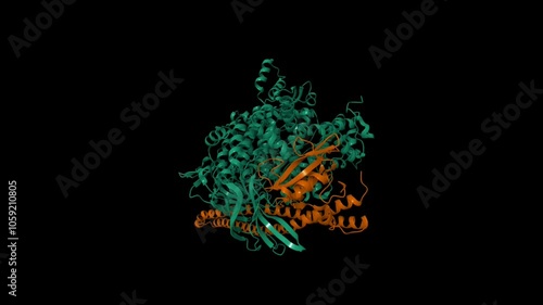 Crystal structure of PI3Kalpha. Catalytic subunit is shown in green, regulatory subunit im brown. Animated 3D cartoon and molecular surface models, PDB7pg5, entity id color scheme, black background photo