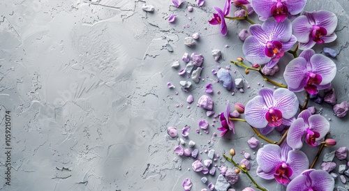 Pink Orchid Flowers on Grey Concrete Background