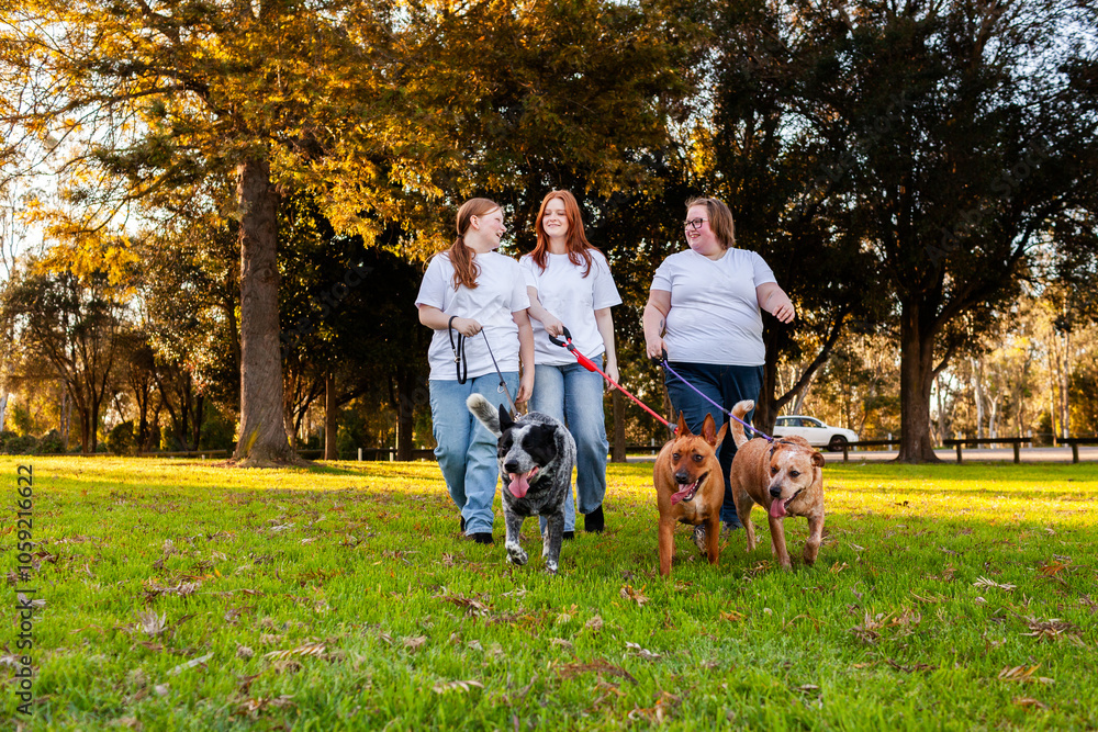 three sisters walking three aussie pet dogs on leads at park three sisters walking three aussie pet dogs on leads at park