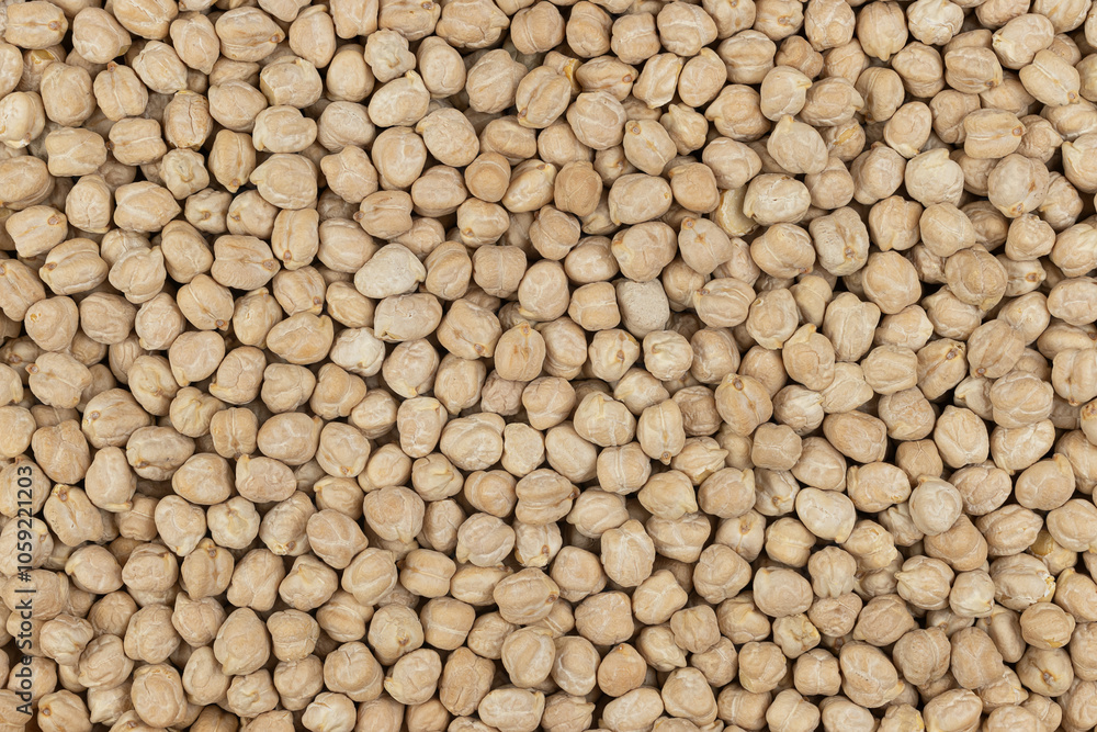 Raw chickpeas (Cicer arietinum), protein-rich legume, in close-up Raw chickpeas (Cicer arietinum), protein-rich legume, in close-up