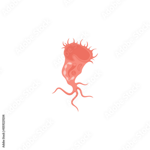 Stentor Illustration 