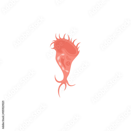 Stentor Illustration 