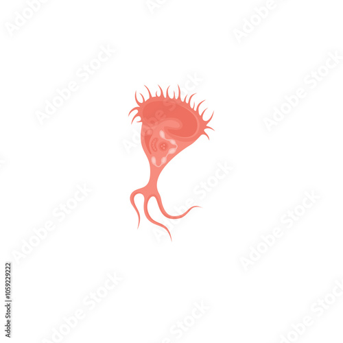 Stentor Illustration 