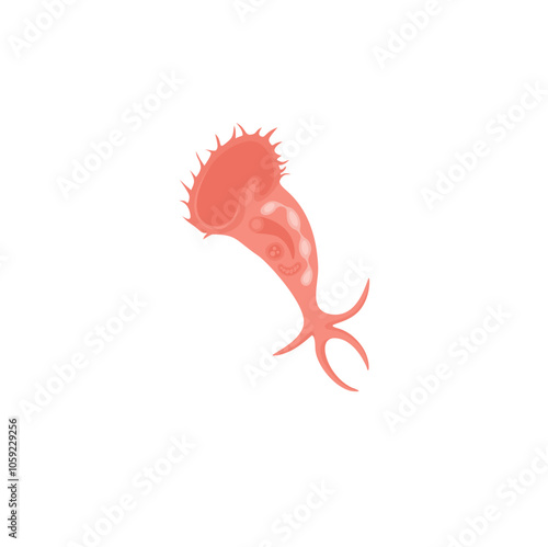Stentor Illustration 