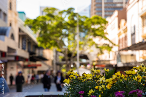 Queen Street mall is Brisbane out of focus photo