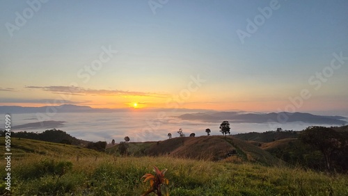 silhouette of a person walking in the sunset
