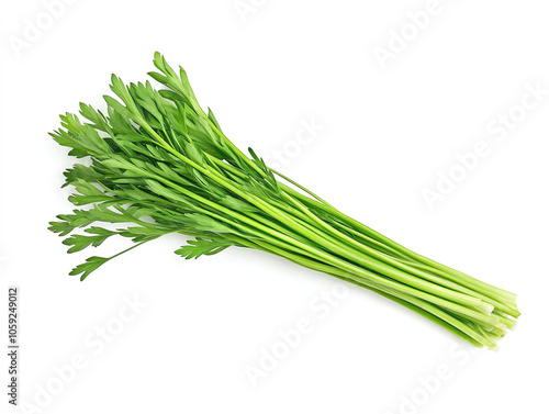 Fresh parsley on white background vibrant green herb, commonly used in cooking for its flavor and garnish. This bundle showcases its lush leaves and stems, perfect for enhancing dishes