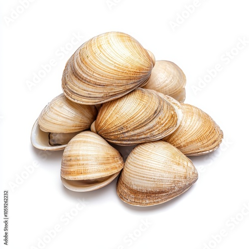 A visually appealing stack of clams, showcasing their smooth, striped shells in various shades of beige and brown, perfect for seafood dishes or culinary presentations.