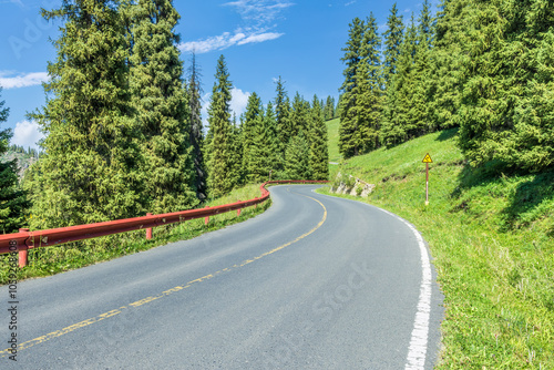 Forest and mountains with empty road