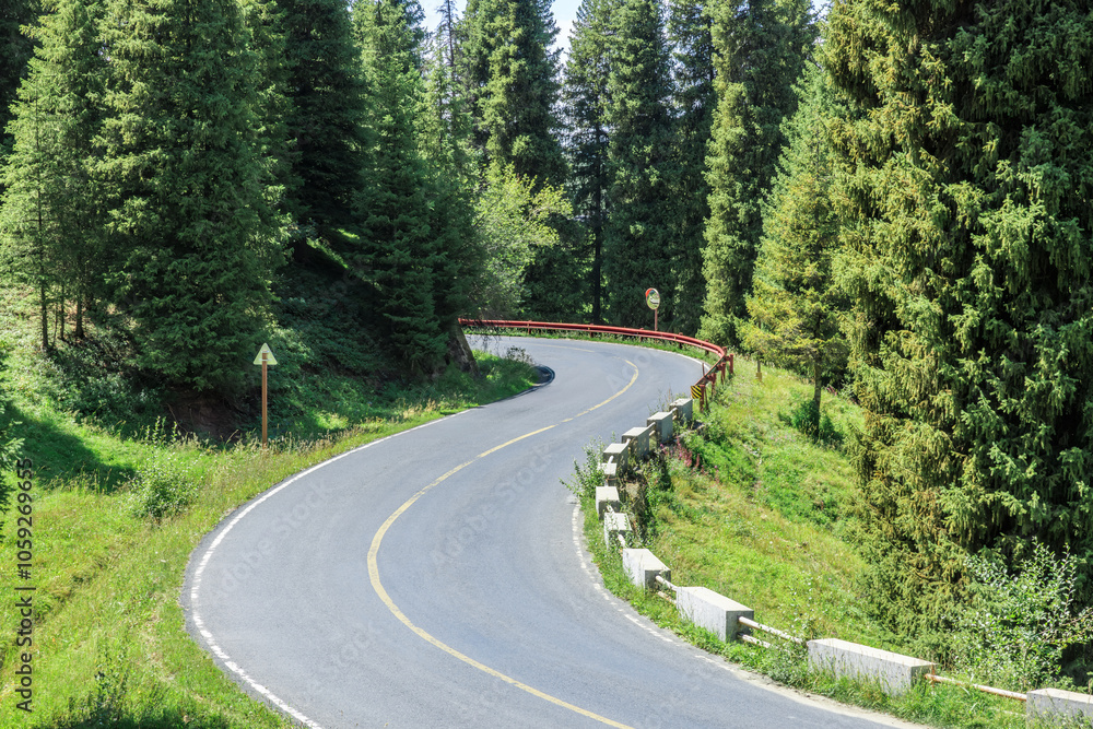Fototapeta premium Forest and mountains with empty road in Xinjiang