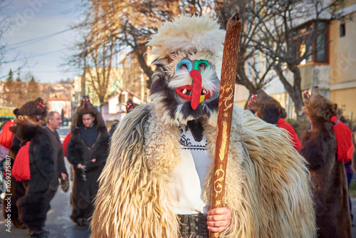 Comănești, Romania, December 2023: Local man dressed in bear fur, Romanian traditions, participates in the bear dance in the Comănești Traditions Festival 