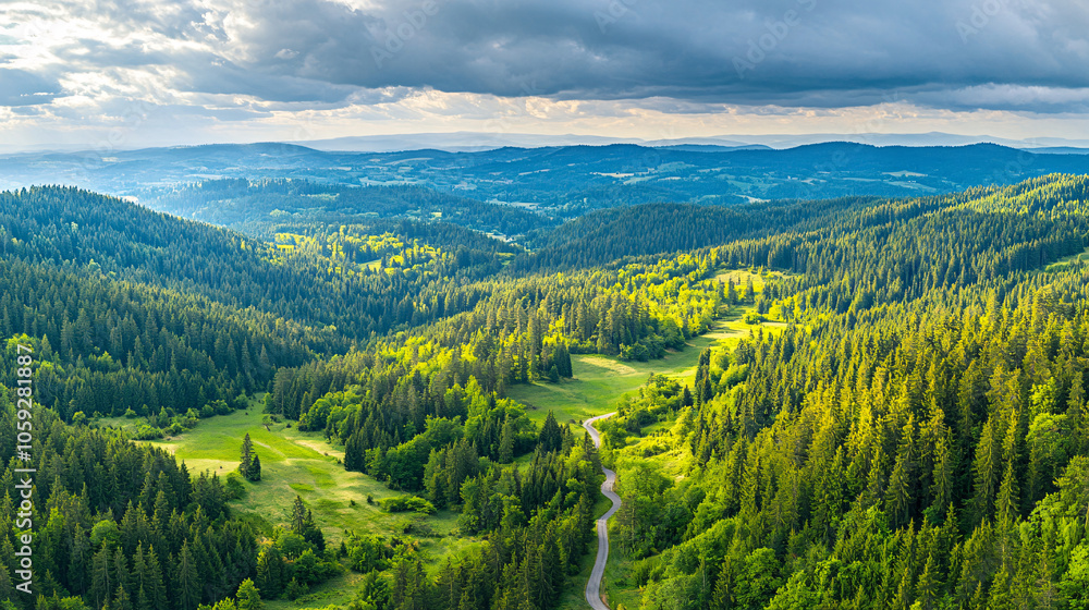 serene green forest landscape with winding road under cloudy sky serene green forest landscape with winding road under cloudy sky