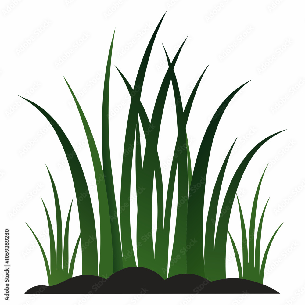 Fototapeta premium green grass on white background