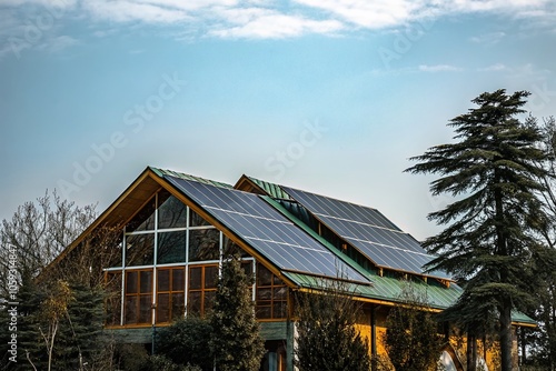 Eco-Friendly Large House with Green Roof and Solar Panels in a Lush Landscape