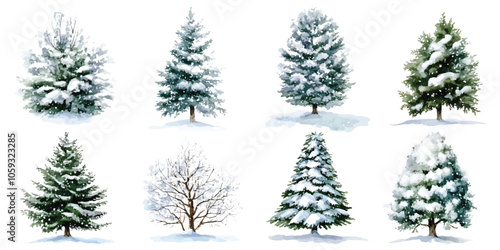 Set watercolor winter snow covered green bare fir pine trees design resources elements isolated on transparent background