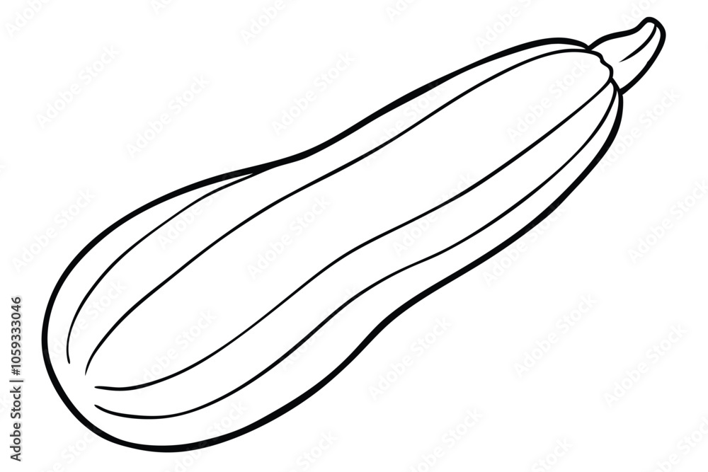 Big Zucchini line art vector illustration Big Zucchini line art vector illustration