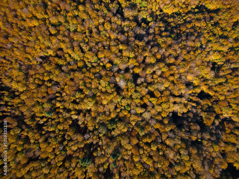Aerial view of Tuscany mountain in autumn with orange foliage, warm colors. Zenithal view Aerial view of Tuscany mountain in autumn with orange foliage, warm colors. Zenithal view