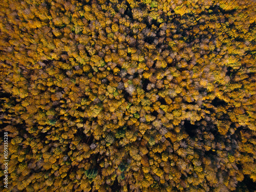 Aerial view of Tuscany mountain in autumn with orange foliage, warm colors. Zenithal view
