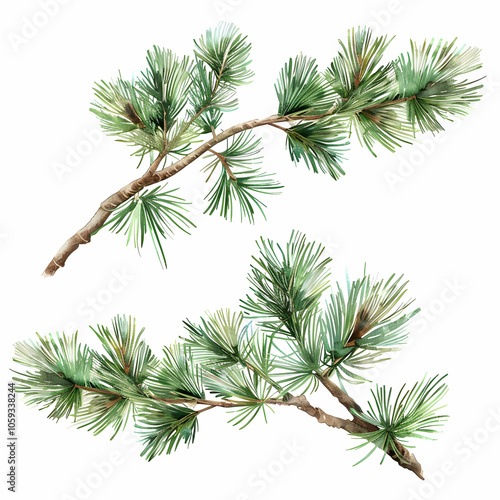 Frayed green Christmas tree branches with lights, a horizontal banner on a white background