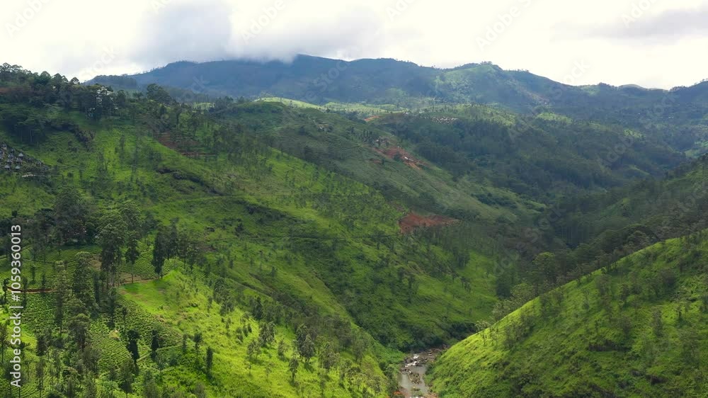 Aerial view of Agricultural land and tea estate surrounded by mountains with forest. Sri Lanka. Aerial view of Agricultural land and tea estate surrounded by mountains with forest. Sri Lanka.