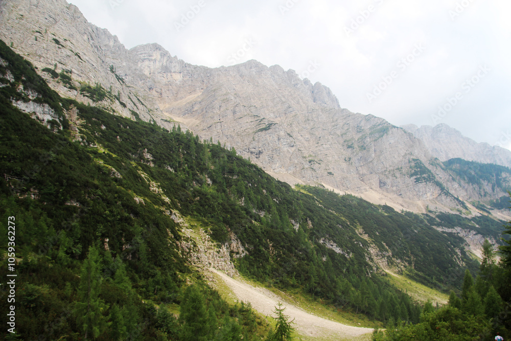 Fototapeta premium The Trenta Valley, Triglav National Park, Slovenia