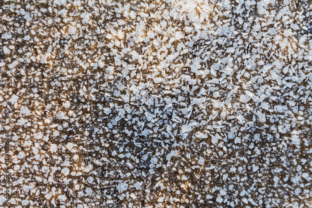 Fototapeta premium Frost sparkles on tree branches, frost creates icy patterns, and snow cover gives nature a winter wonderland