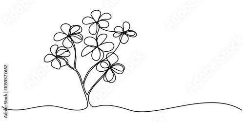 Plumeria flowers in continuous line art drawing style. Minimalist black line sketch on white background, Plumeria flowers in continuous one  line art drawing. Frangipani blossom. Vector illustration.