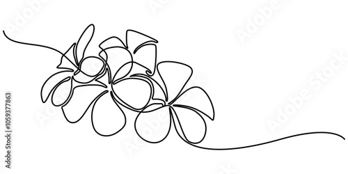 Plumeria flowers in continuous line art drawing style. Minimalist black line sketch on white background, Plumeria flowers in continuous one  line art drawing. Frangipani blossom. Vector illustration.