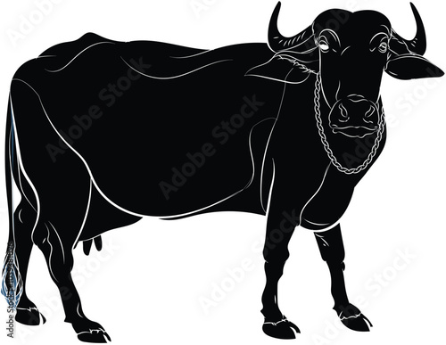 The water buffalo, also called the domestic water buffalo, the Asiatic water buffalo, originates in the Indian subcontinent and Southeast Asia.