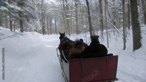 horse drawn sleigh glides through snowy forest path, creating serene winter scene photo