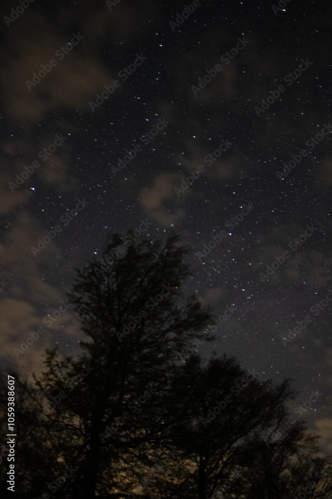sky with clouds and threes silouhette