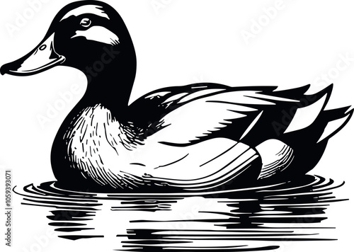 Duck Vector Black Silhouette Design For T-Shirt
