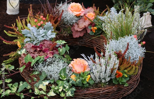 bepflanzter korbring 