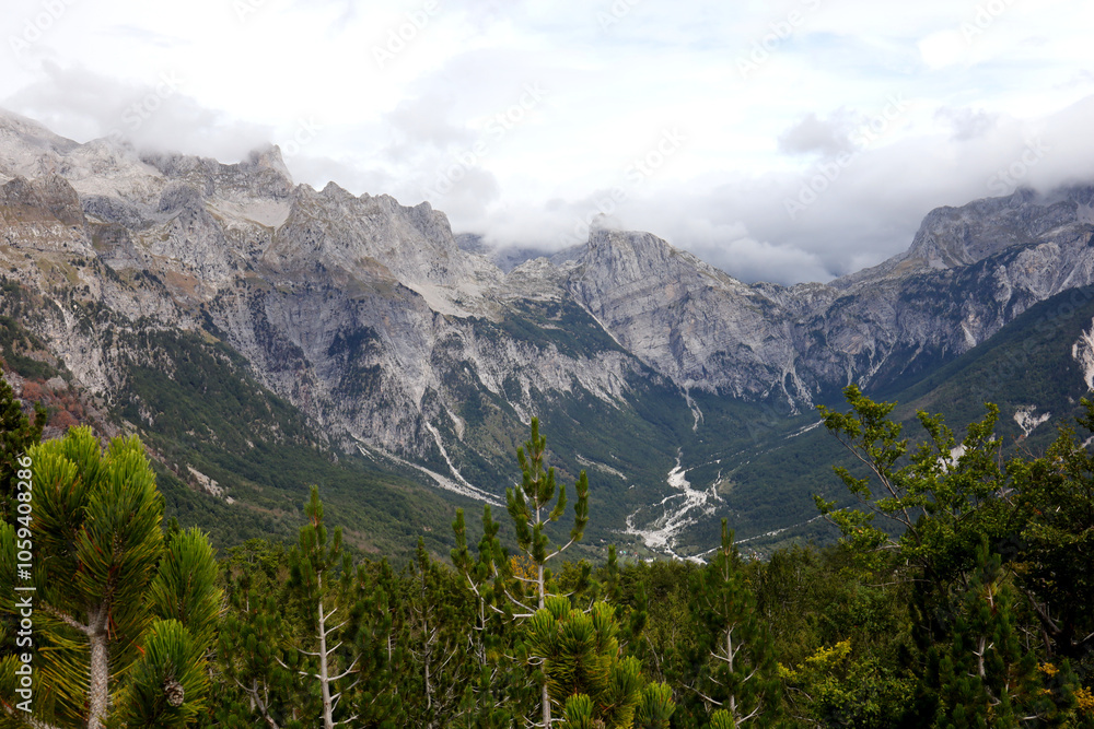 Fototapeta premium landscape in the mountains