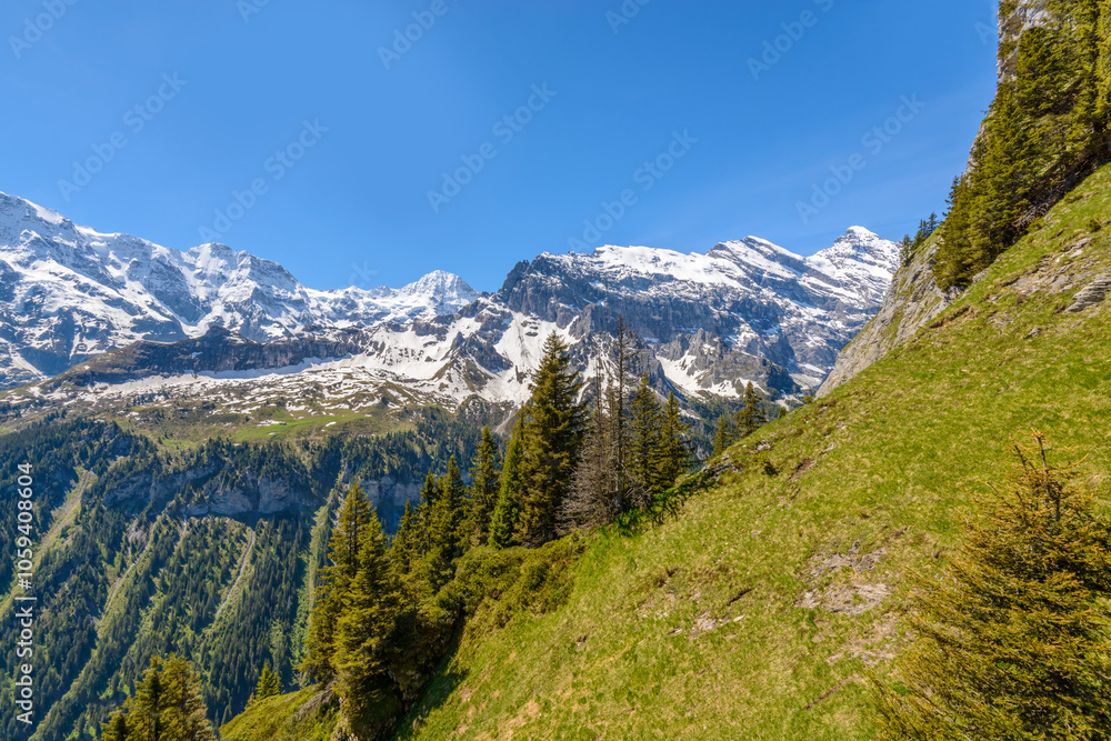 The Swiss Alps at Murren, Switzerland. Jungfrau Region. The valley of Lauterbrunnen from Interlaken. The Swiss Alps at Murren, Switzerland. Jungfrau Region. The valley of Lauterbrunnen from Interlaken.