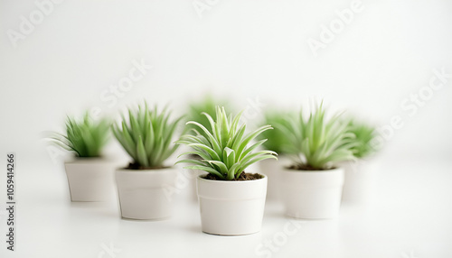 "Collection of small potted plants, neatly arranged on a plain white background. Ideal for home decor, gardening, or nature-inspired projects." 