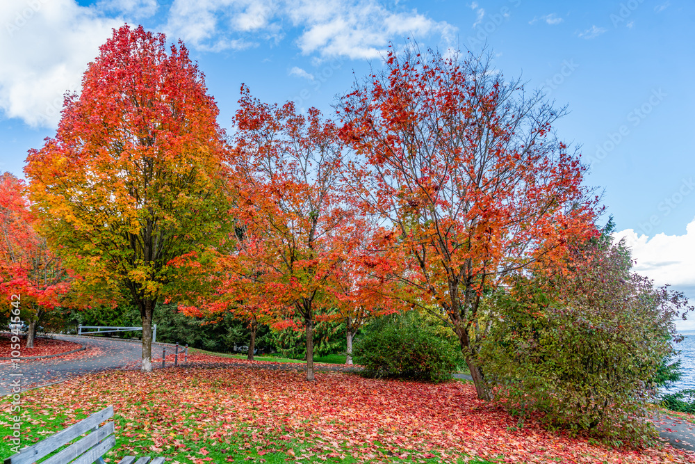 Naklejka premium Lake Autumn Trees 6