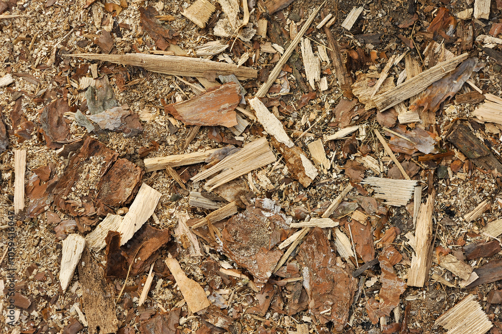 Background, texture of lumber, sawdust, shavings, pieces and chips of wood, boards, logs at a sawmill in the forest outdoors. Photograph, top view. Background, texture of lumber, sawdust, shavings, pieces and chips of wood, boards, logs at a sawmill in the forest outdoors. Photograph, top view.