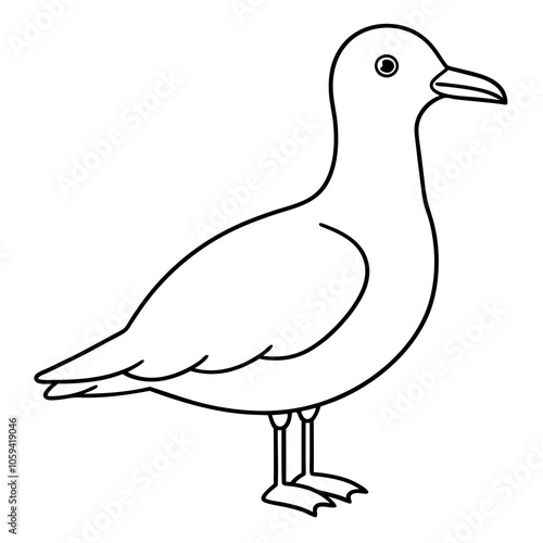 duck isolated