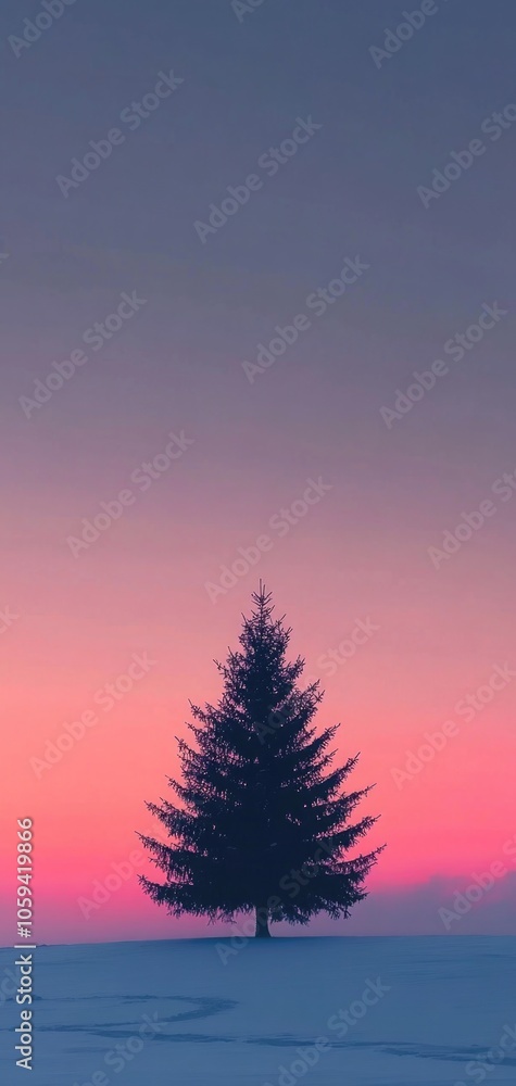 Lonely spruce tree basking in sunset light against a cold winter sky at dusk Lonely spruce tree basking in sunset light against a cold winter sky at dusk