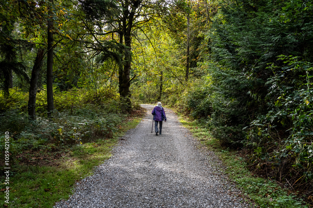 Senior woman with a walking stick getting fresh air on a gravel trail on a sunny fall day in the woods in Kirkland’s Watershed Park
Senior woman with a walking stick getting fresh air on a gravel trail on a sunny fall day in the woods in Kirkland’s Watershed Park