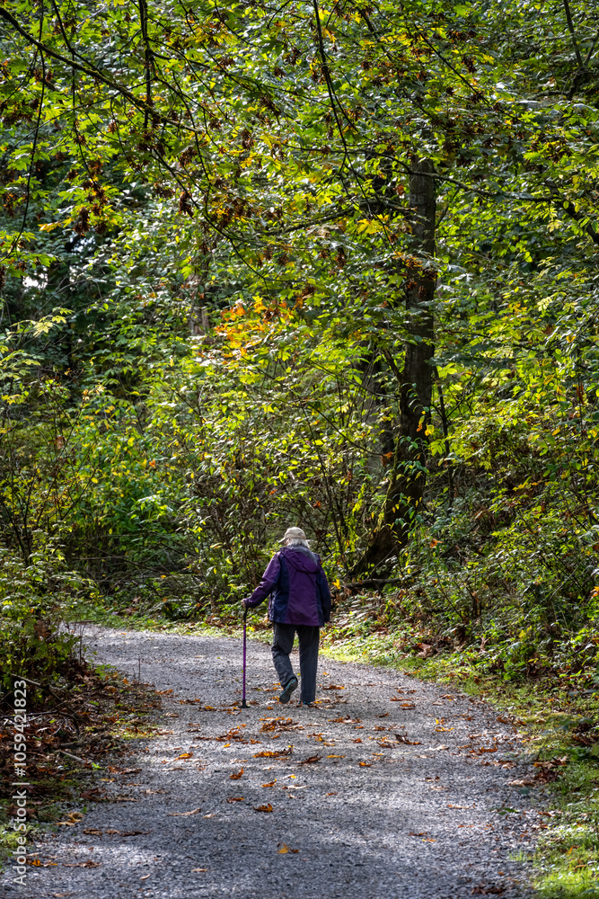Senior woman with a walking stick getting fresh air on a gravel trail on a sunny fall day in the woods in Kirkland’s Watershed Park
Senior woman with a walking stick getting fresh air on a gravel trail on a sunny fall day in the woods in Kirkland’s Watershed Park