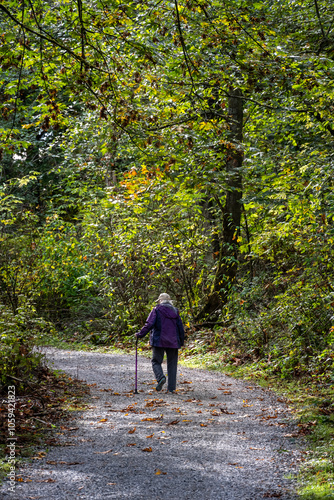 Senior woman with a walking stick getting fresh air on a gravel trail on a sunny fall day in the woods in Kirkland’s Watershed Park 