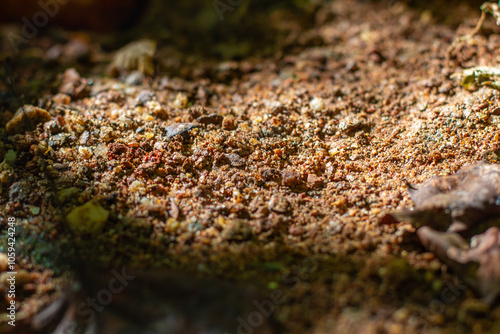 Dirt Bank Closeup