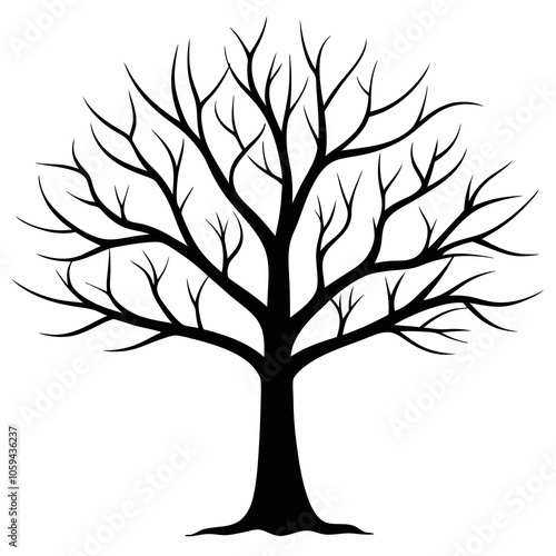 Leafless Tree Silhouettes vector Illustrations Design