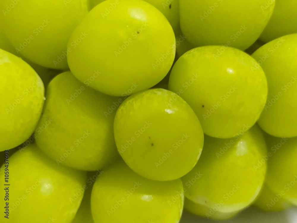 Close up Fresh Shine Muscat grape. Japanese fruit Close up Fresh Shine Muscat grape. Japanese fruit