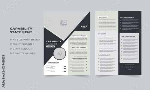  Capability Statement and Document Template, Business  Capability Statement